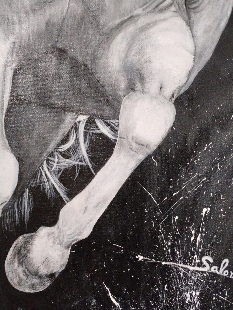 Arte en acrílico/Artista plástica/Salomé V.A.