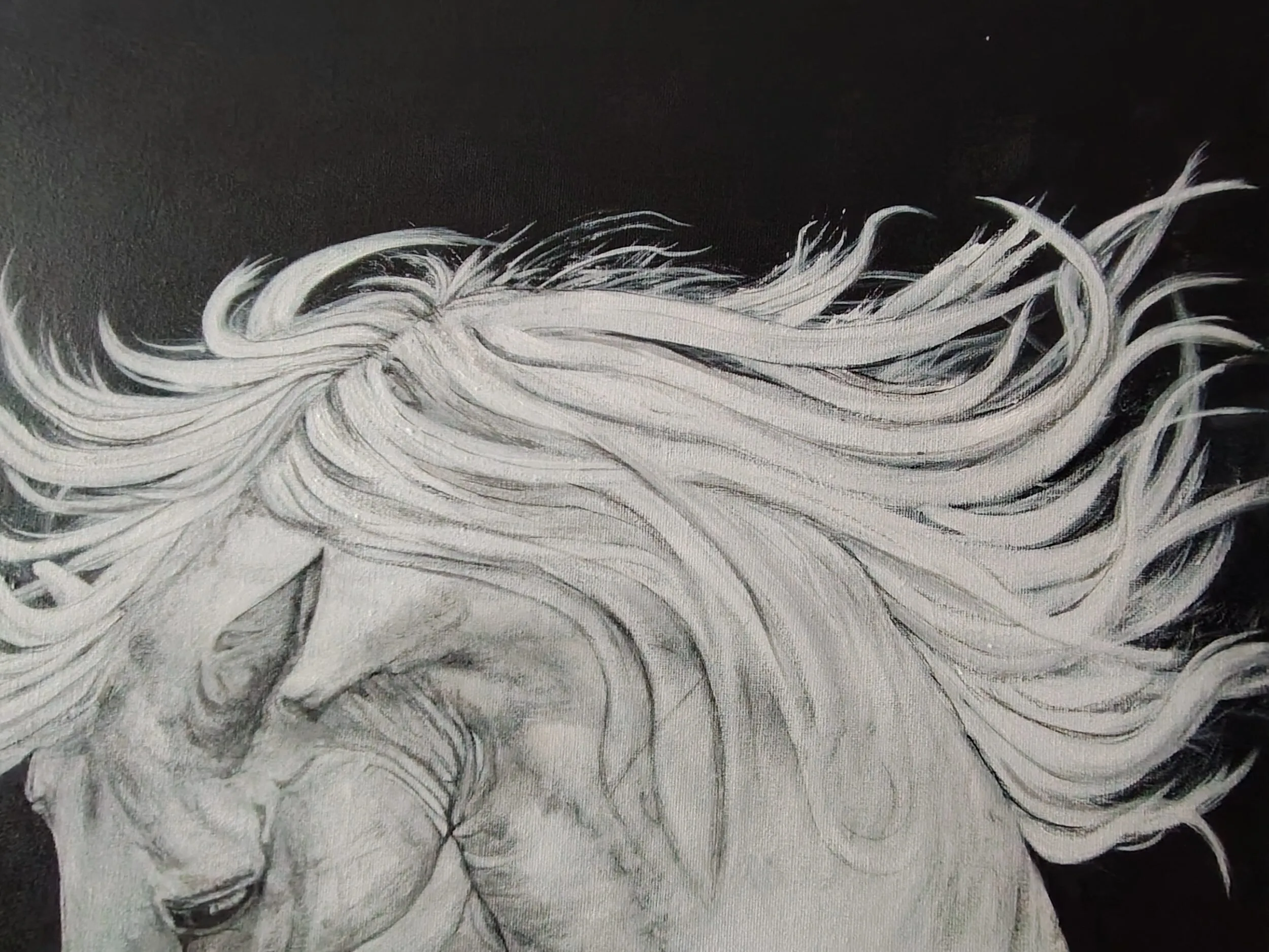 Detalle de la crin del caballo en movimiento, líneas y ritmo en acrílico monocromo
